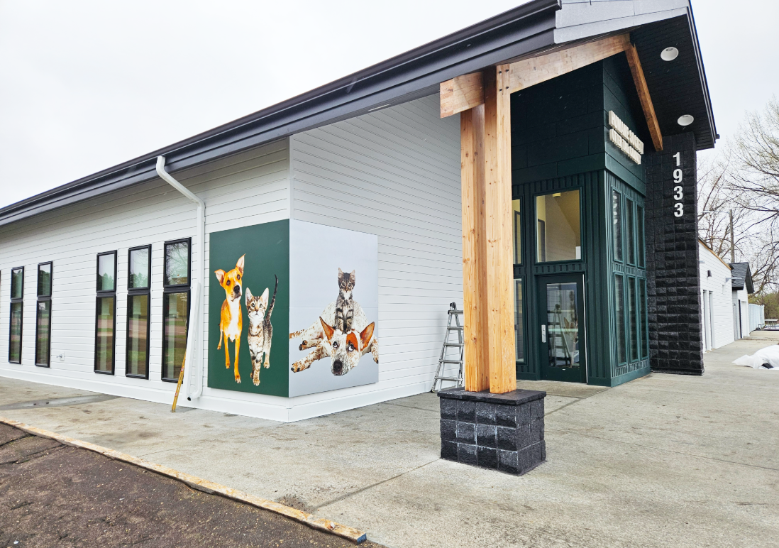 Shelter animals  getting ready to  step into their new home!